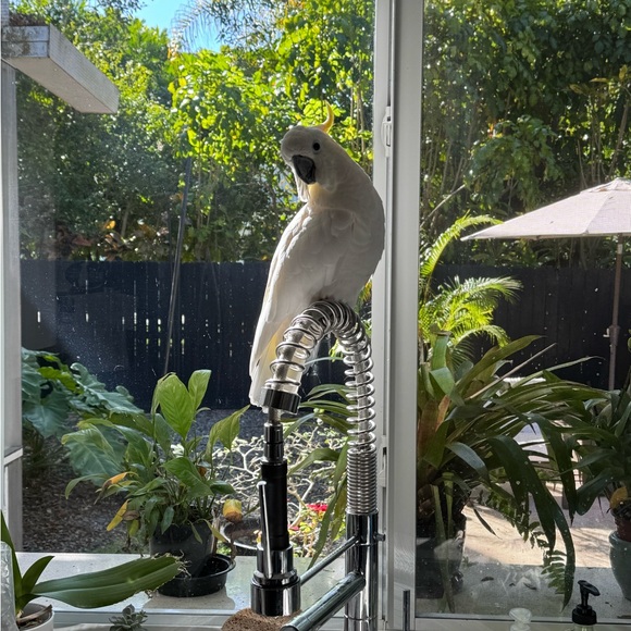 Meet your Posher, Lc - Picture 1 of 2